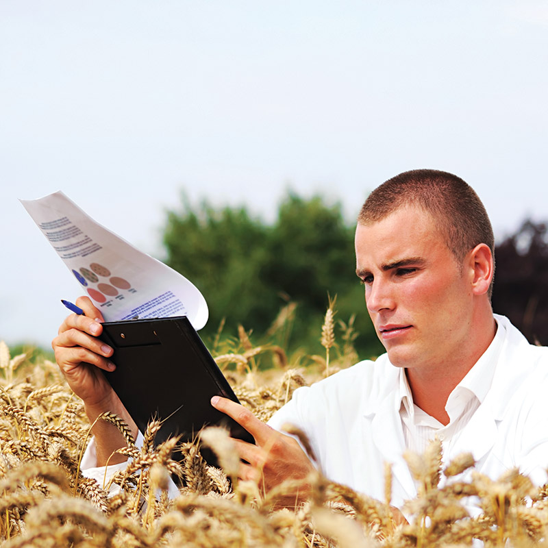 Australian Agricultural Competiveness