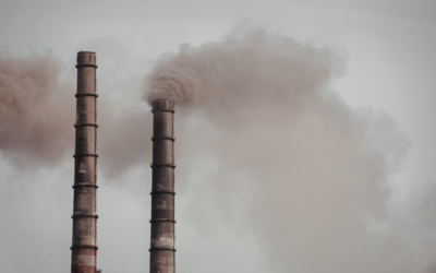 First penalty in NSW for failure to test a PIRMP