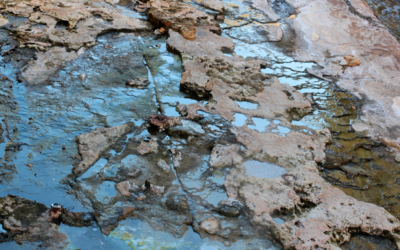 Hydrogen Sulphide in Non-Putrescible Landfills: Lessons from Recent EPA Prosecutions