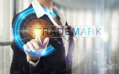 Reputation in a trade mark – not relevant to infringement