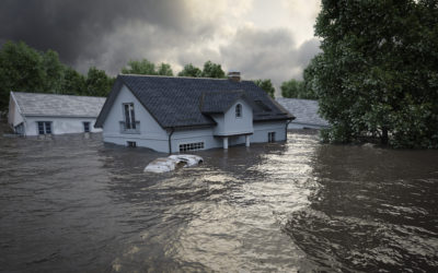 A Win for Councils – Court of Appeal Overturns Decision that Council Resolution is a Policy Relating to Flooding